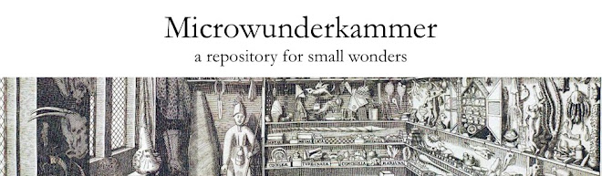 Microwunderkammer