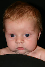 Kaden - Newborn