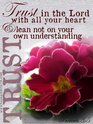 Proverbs 3 5