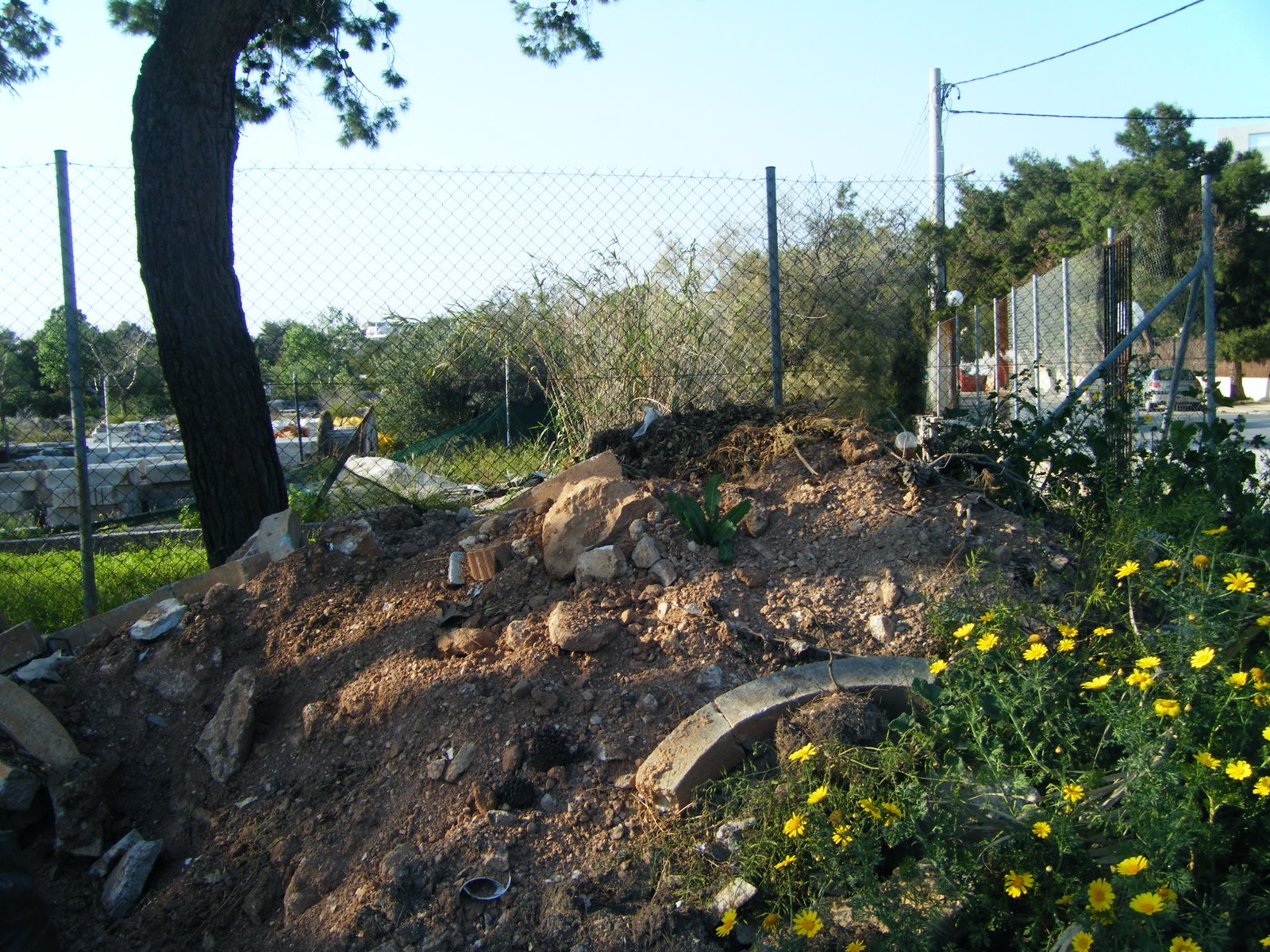 [DSCF1721.JPG]