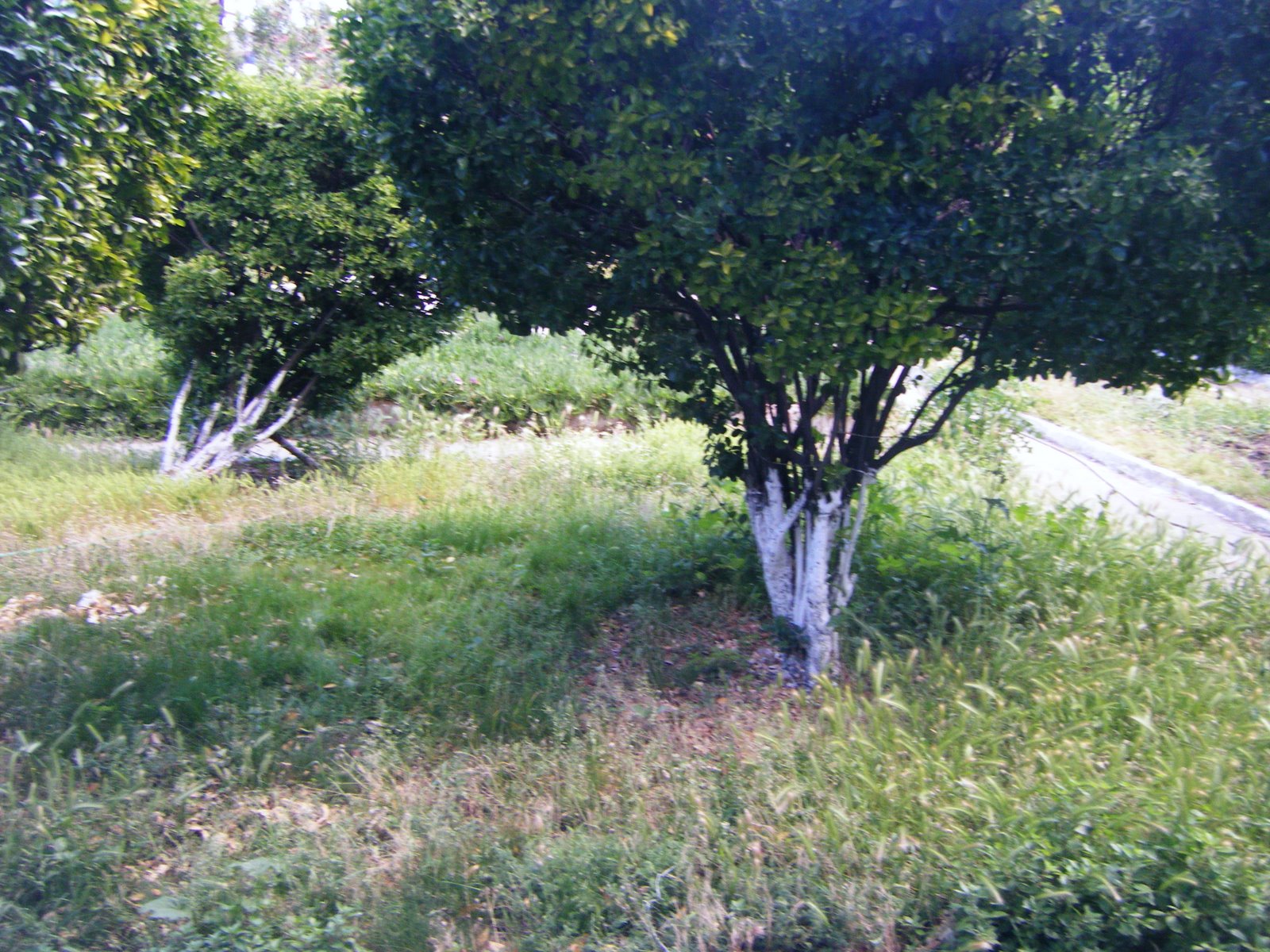 [DSCF2468.JPG]