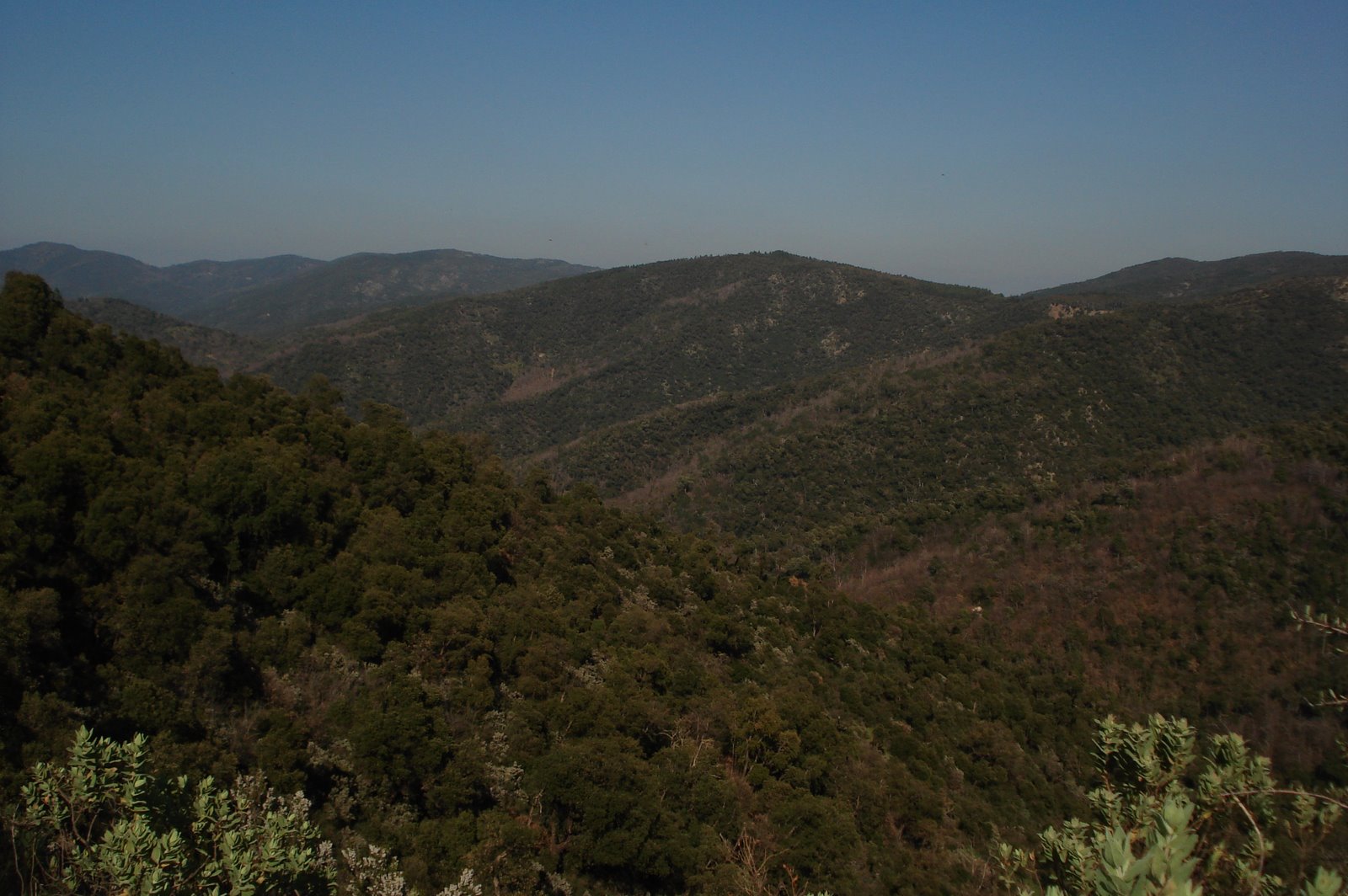 Massif des Maures (Var)