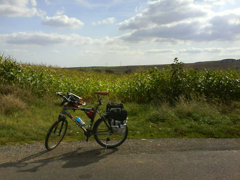 [image-upload-1-730361.jpg]