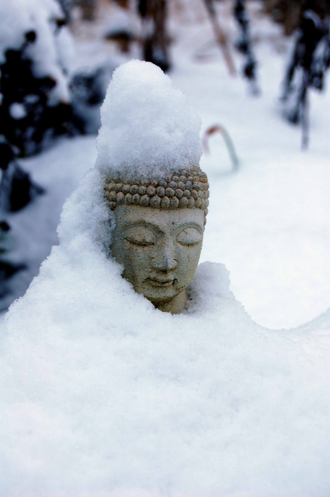 [Snow+Buddha+3+copy.jpg]