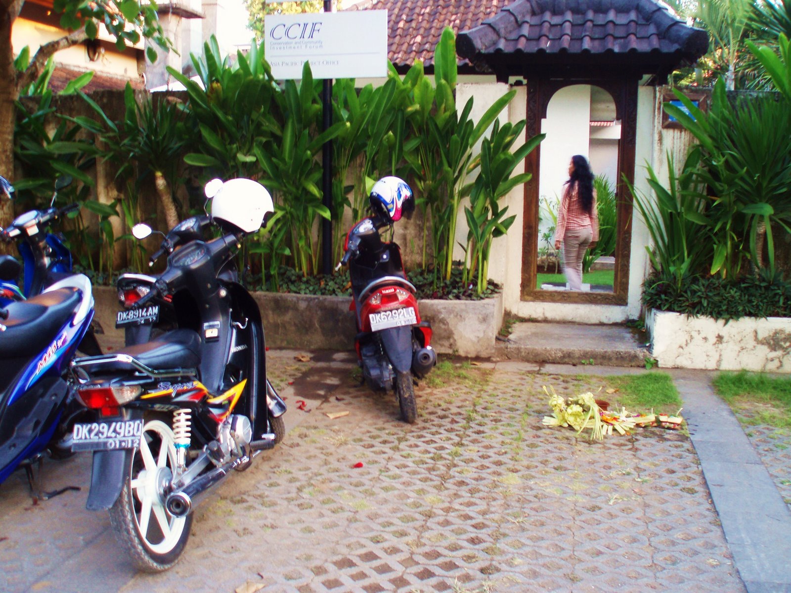 [Scooter.JPG]