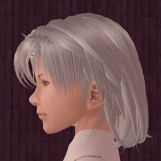 実は鼻が低くなってます 新作スキン顔左横 09年07月10日現在