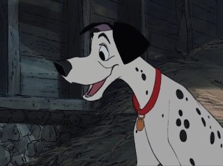 [pongo_snout_thomas.jpg]