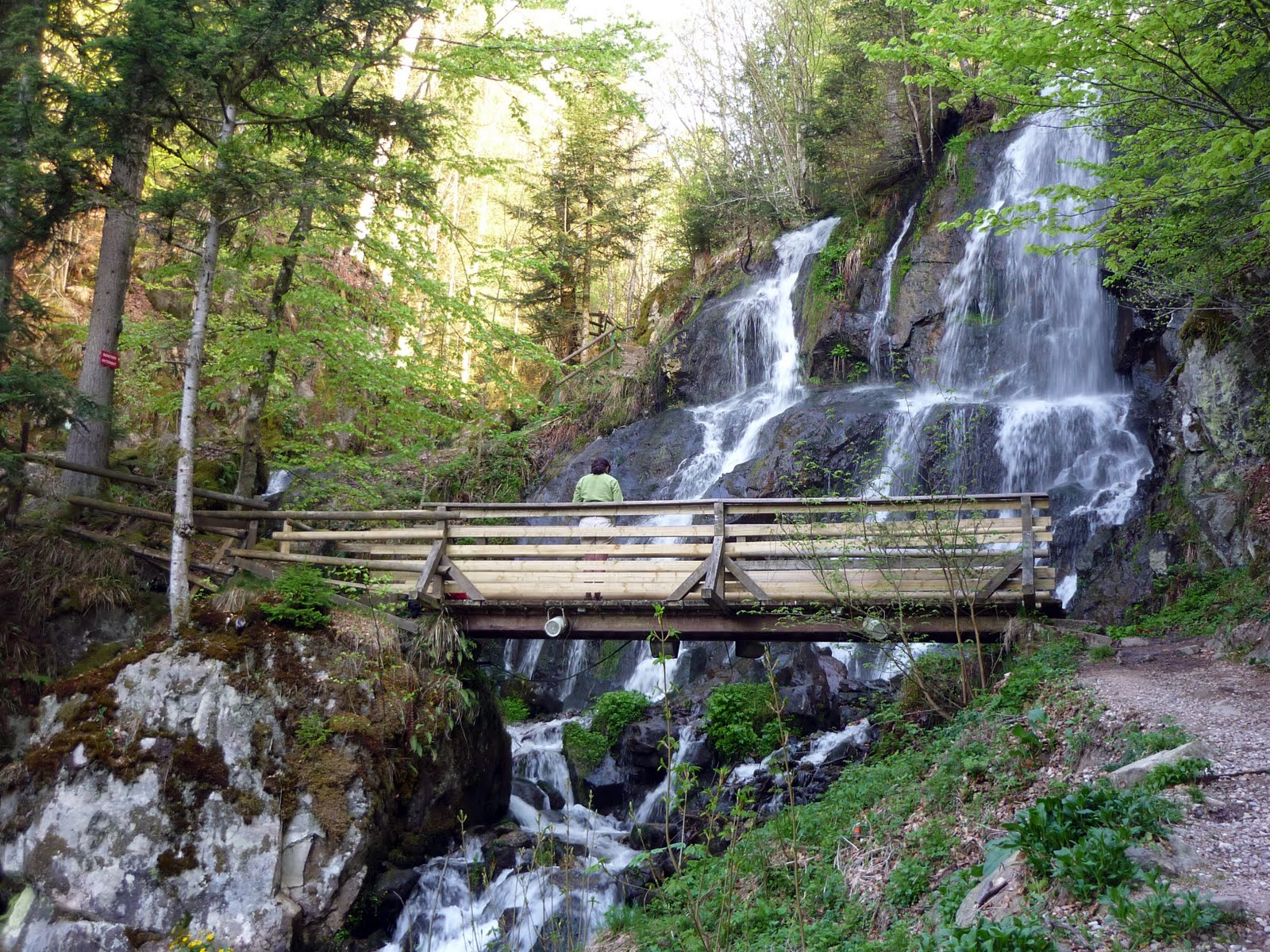 émotionsnature LA CASCADE DE L'ANDLAU au HOWALD (basrhin)