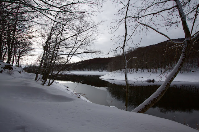 [IMG_6187.jpg]