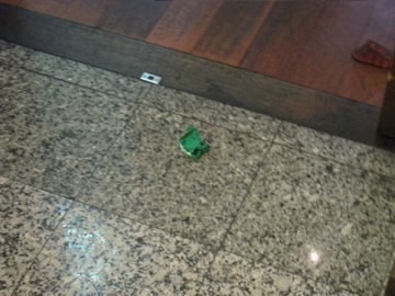 [IMG_1925.jpg]