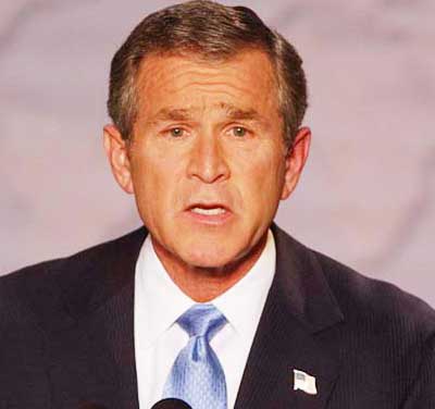 [bush.jpg]