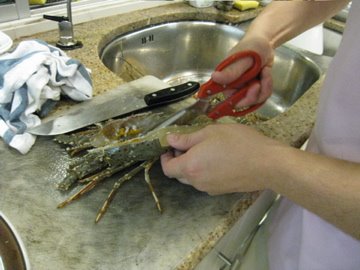 [IMG_2232.jpg]