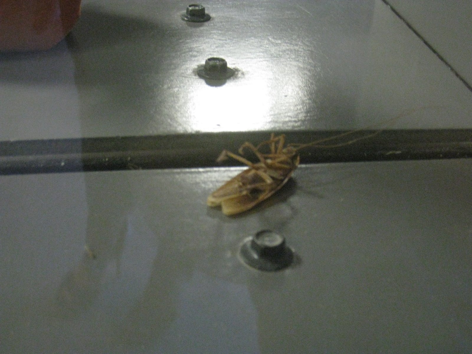 [IMG_4512.JPG]