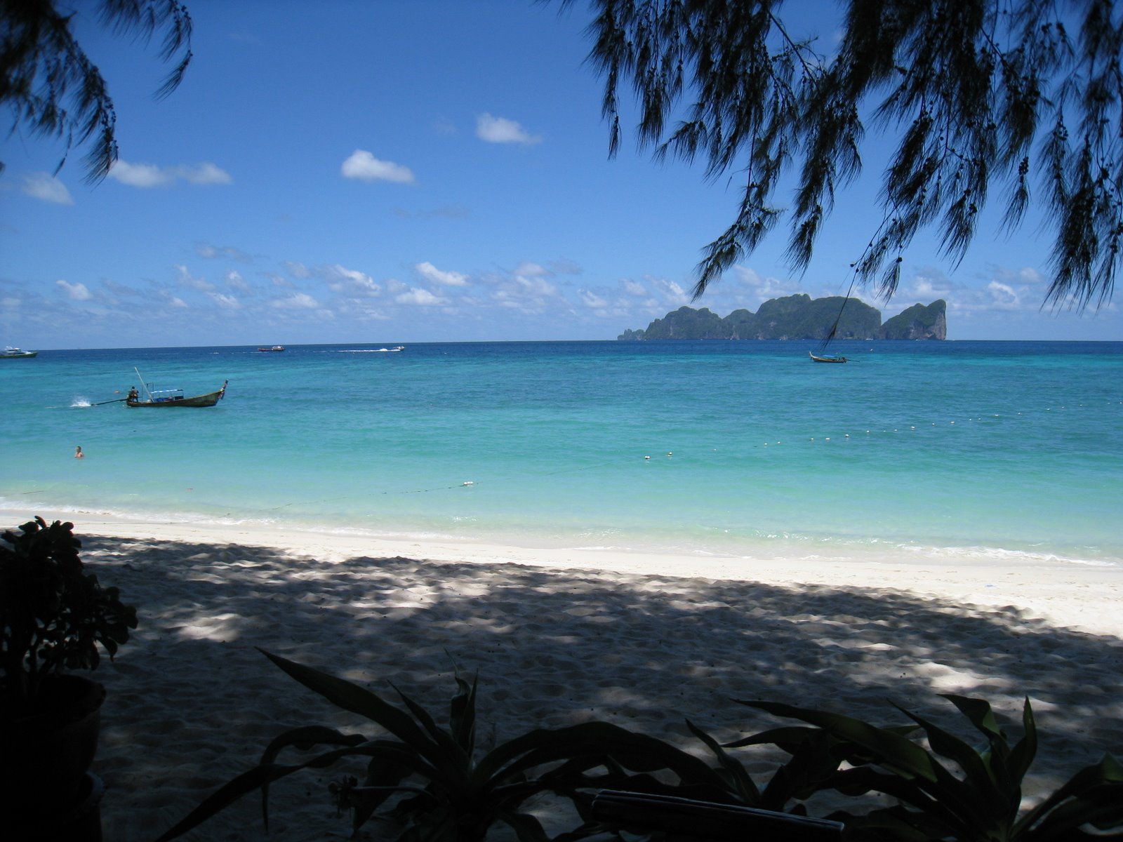 [IMG_4779.JPG]