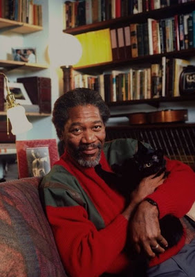 celebrity cats celebrity cats