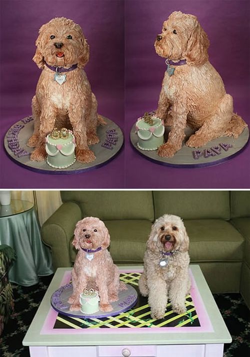 Dog shaped cakes - 12 Pics Curious, Funny Photos / Pictures