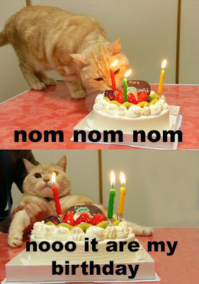 birthday cat pictures