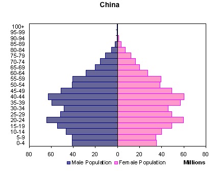 population pyramids china