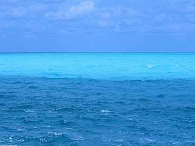 [Image: Blue+Ocean+-+big.jpg]