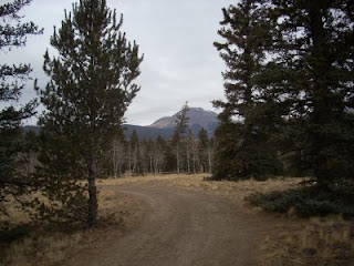 Trail Running on Forest Service Road off Trout Creek Pass