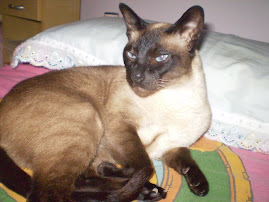 Lili Cristina
