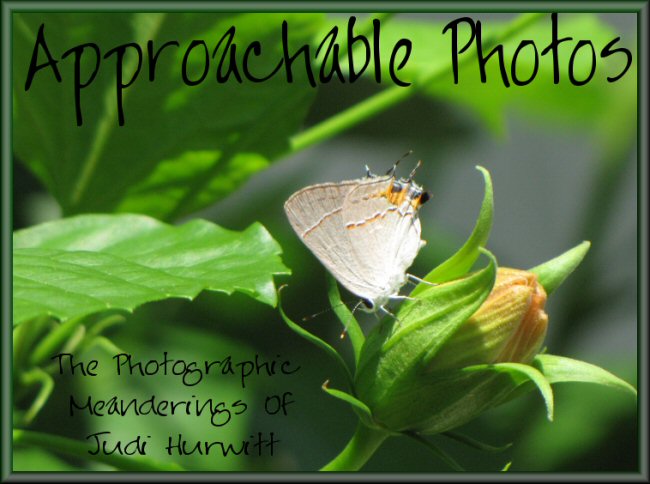 Approachable Art\