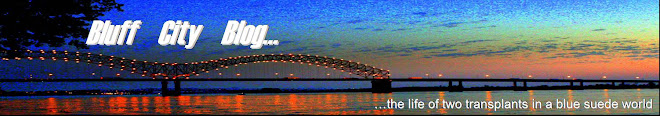 Bluff City Blog