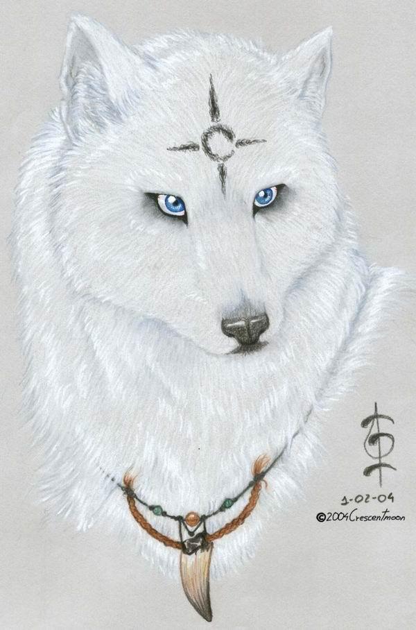 [lobito.jpg]