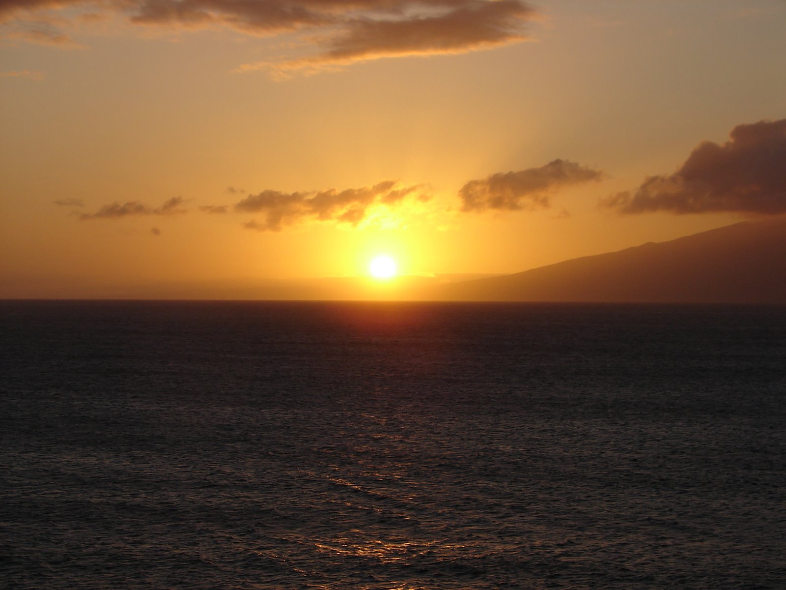 [DSC08357.JPG]