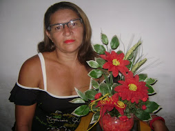 PROFESSORA SANTINHA