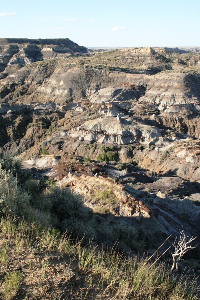 [thebadlands.JPG]