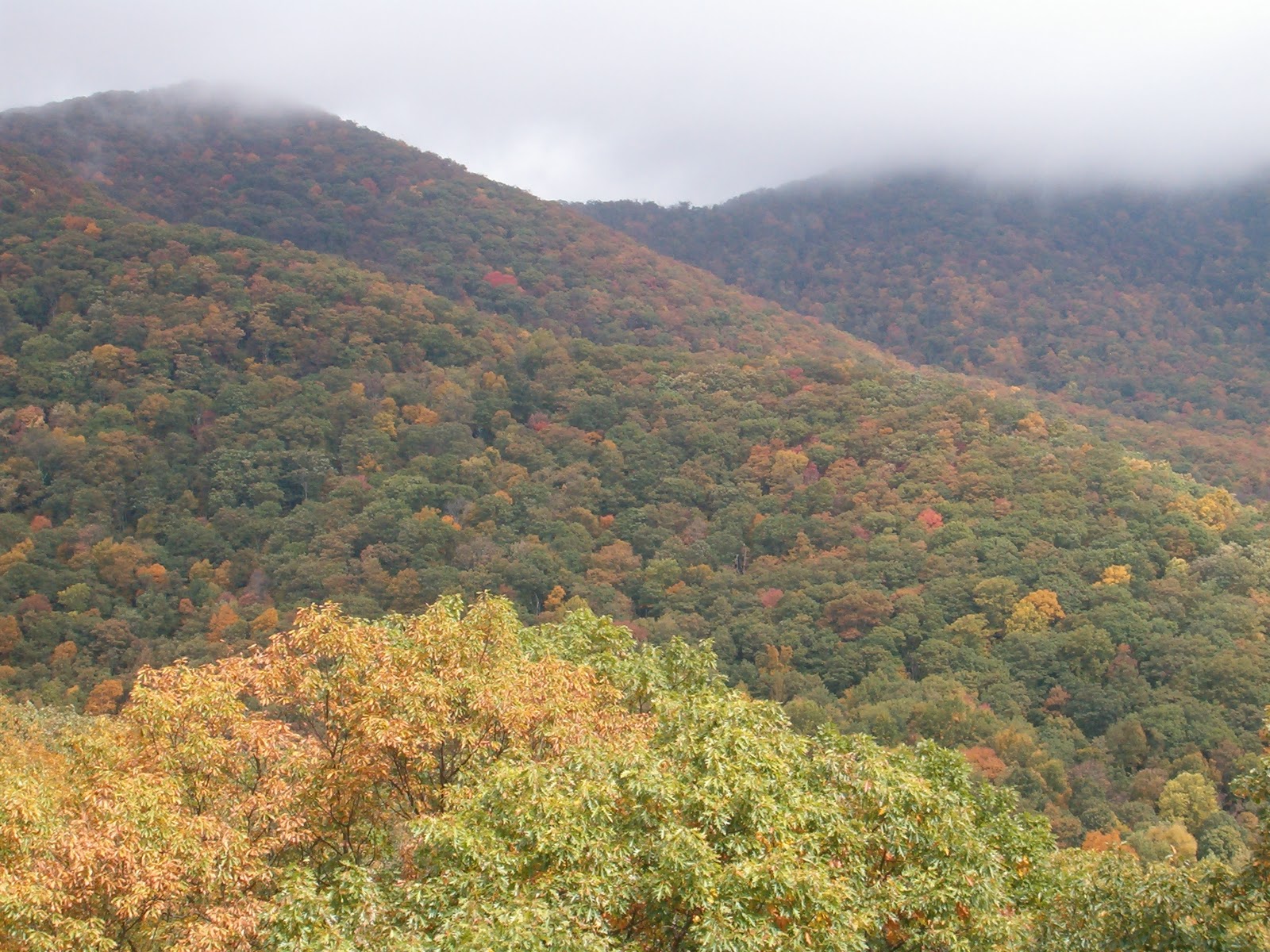 Located on Blowing Rock Rd. in