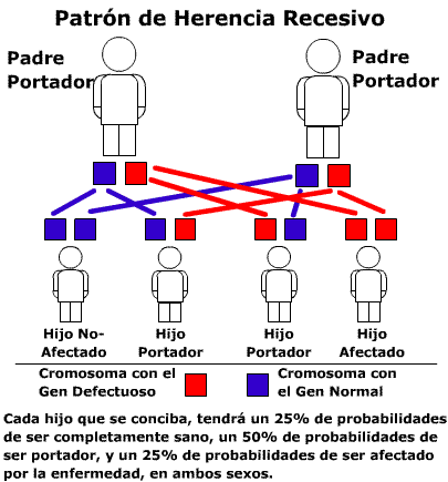 PatRoN dE hErEnCiA***