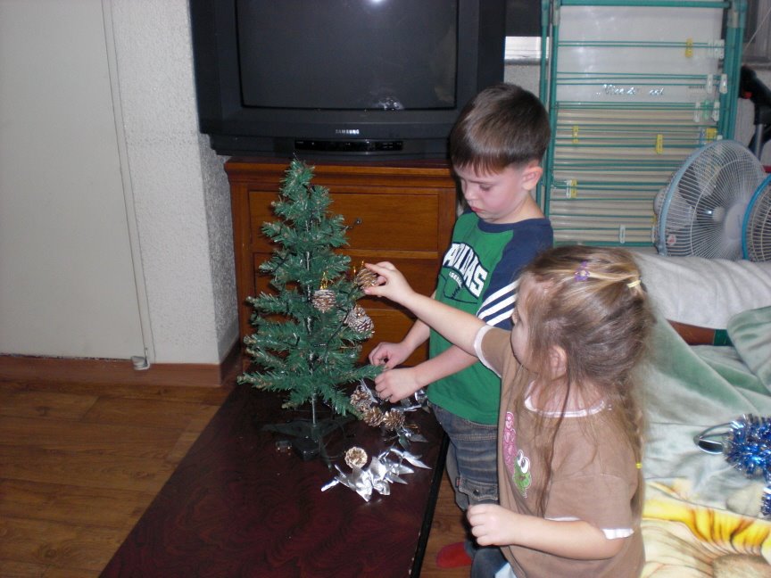 [tree6.JPG]