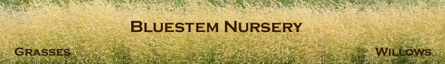 Bluestem Nursery