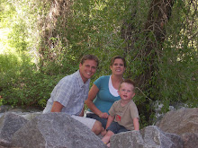 Ledgemere in Big Cottonwood