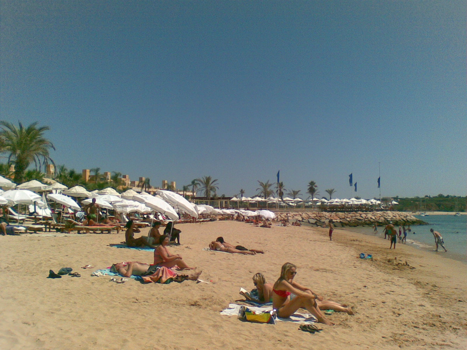 [29082009-757202.jpg]