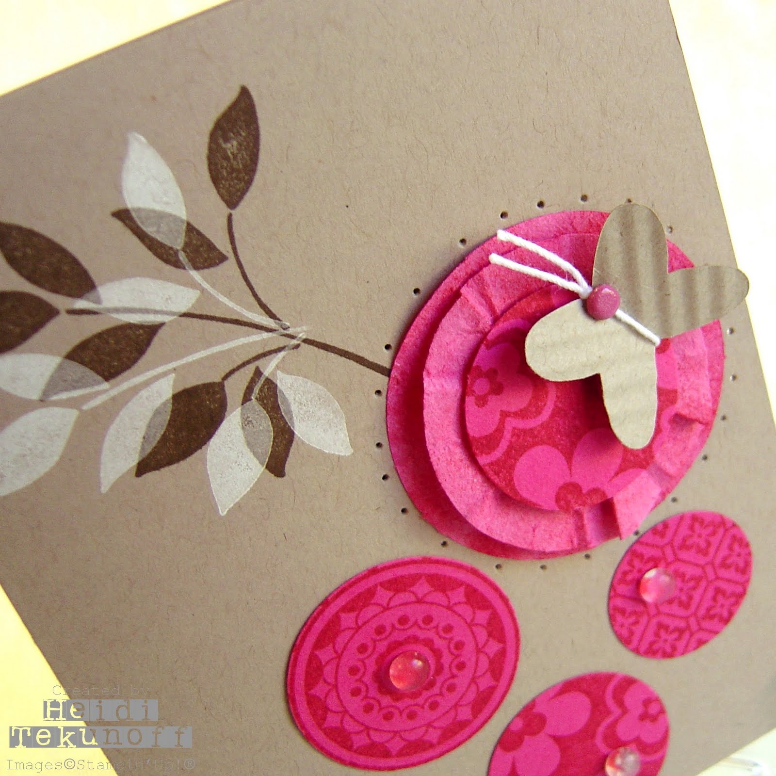 [CirclesNatureCard_shot]