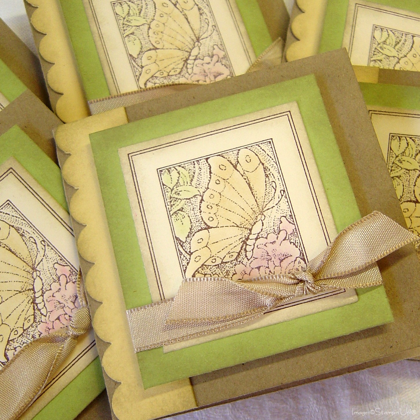 [ButterflySpringCards_shot]