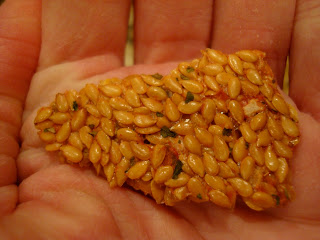 Close up of cracker in palm of hand