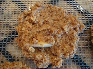 Close up of mixture formed into pancake patties and placed on dehydrator trays