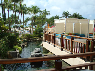 Hyatt Hotel with view of water and palm trees