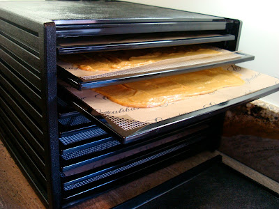 Trays going into dehydrator