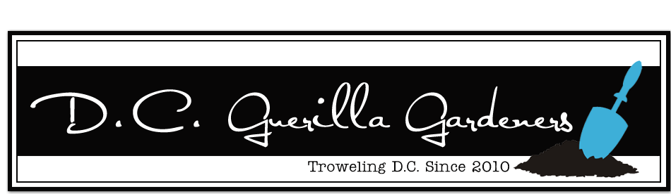 D.C. Guerilla Gardeners