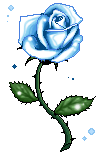 gifs-flores-rosa.gif