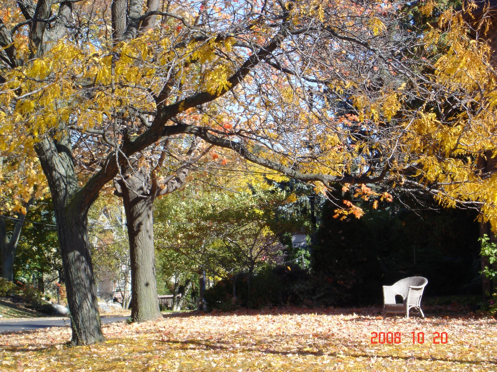 [DSC01607.JPG]