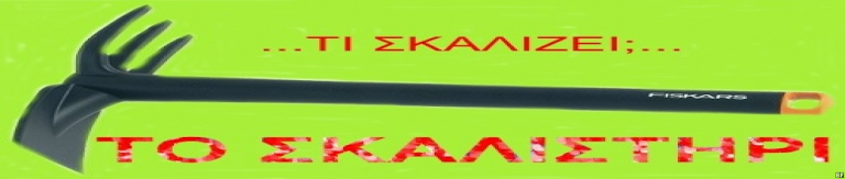 TO ΣΚΑΛΙΣΤΗΡΙ