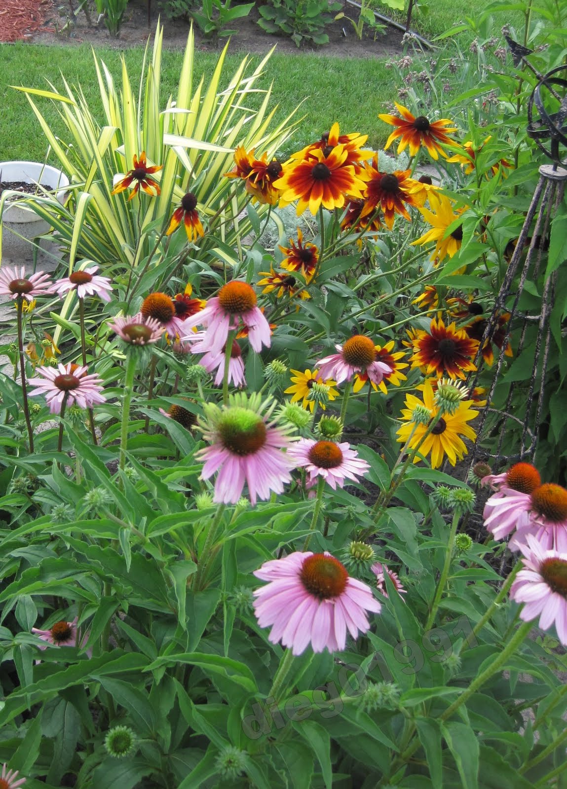 Fertilizing your flower beds Get Busy Gardening