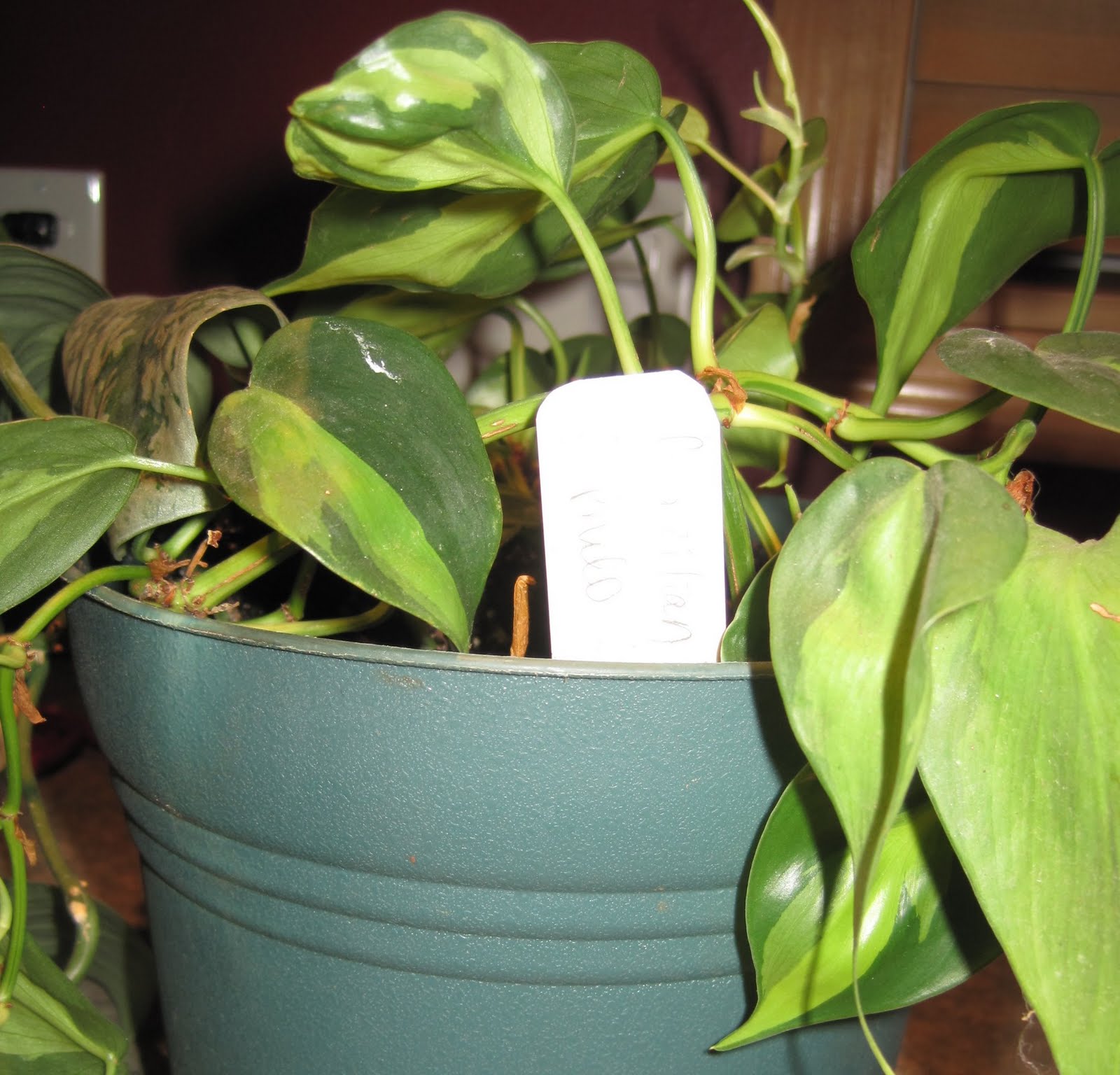 301 Moved Permanently