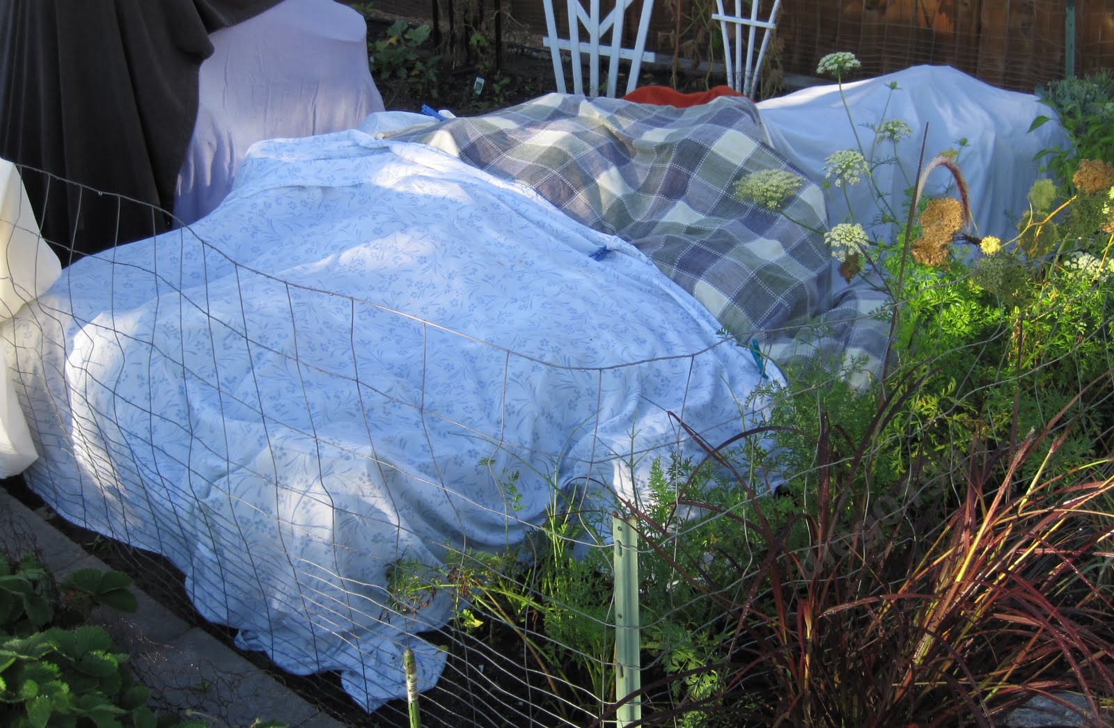 301 Moved Permanently